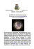 Febbraio 2013 - Comune di Cellere