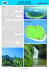 isole cook isola di rarotonga