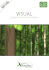 VISUAL - Rondine Group