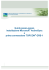 GPS - Guida passo-passo installazione Microsoft ActiveSyinc e