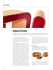 pdf - Origami Furniture