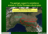 The geologic support to subsidence analysis in Emilia