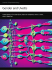 Gender and Uveitis - Hindawi Publishing Corporation