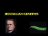 Mendelian Genetics