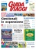 Gestionali in espansione
