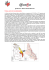 @uxilia Onlus – Missione SriLanka Marzo 2013