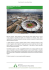 LONDON OLYMPIC STADIUM Nato per ospitare i Giochi Olimpici di