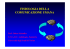 (Microsoft PowerPoint