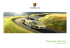 Porsche Service