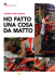 ho fatto una cosa da Matto