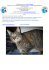 Wiky, cucciolone maschio dal carattere equilibrato