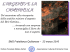 l`argento e la campanula