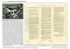 descrizione completa > full description
