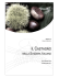 Scarica documento - Museo del Malcantone