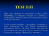 TESI XIII