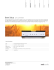 Beer Seba D/A CONVERTER