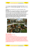 Forbes_Grandi_Mall