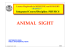 animal sight - Facoltà di Medicina e Chirurgia