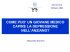 Diapositive in formato pdf