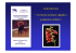 Presentazione di PowerPoint