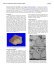 Northwest Africa 10319 and 10320: two new cumulate eucrites from