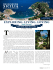 pdf - 500 Vintage Tour