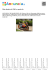 Moto honda cbr 1000 rr repsol abs