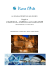 Valencia Vivere l`Arte SOCI 16-2