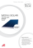 moduli solari