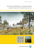 Soil resource efficiency in urbanised areas