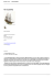 Modellismo : RATTLESNAKE