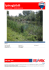 RE/MAX Italy - RE/MAX Brasil