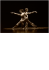 Sylvie Guillem - Life in progess