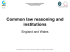 Common law reasoning and institutions
