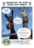 PASSEGGIATE CON ASINI HIKING WITH DONKEYS