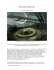 All`ombra delle Fate