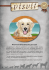 snacks for dogs