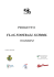 progetto flag football school