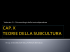 Cap. X - Teorie della subcultura