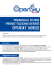 MANUALE D`USO PRENOTAZIONI AEREE OPENSKY WORLD