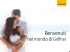 presentazione azienda griffner