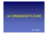 Viscosupplementazione e Condroprotezione
