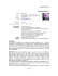 curriculum vitae