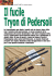 scarica allegato - Davide Pedersoli