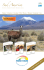 Sud America - Press Tours