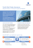 Scheda informativa Real Estate Insurance
