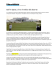 Golf in Qatar, al via il trofeo del deserto