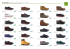 ATHENA Ortopedia - Athena Plantari e scarpe ortopediche