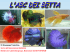 dal betta splendens - GAS - Gruppo Acquariofilo Salentino