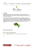 PDF - Stoppervini
